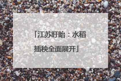 江苏盱眙：水稻插秧全面展开