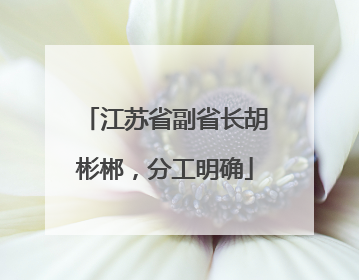 江苏省副省长胡彬郴，分工明确