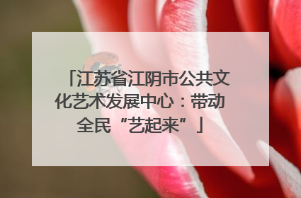 江苏省江阴市公共文化艺术发展中心：带动全民“艺起来”