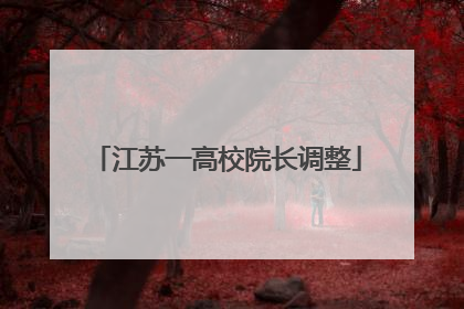 江苏一高校院长调整