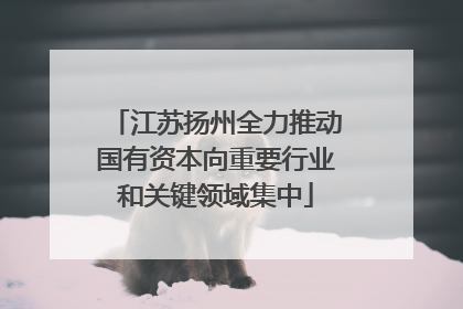 江苏扬州全力推动国有资本向重要行业和关键领域集中