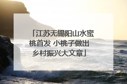 江苏无锡阳山水蜜桃首发 小桃子做出乡村振兴大文章