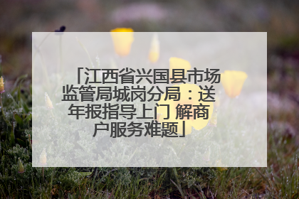 江西省兴国县市场监管局城岗分局：送年报指导上门 解商户服务难题