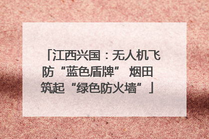 江西兴国：无人机飞防“蓝色盾牌” 烟田筑起“绿色防火墙”