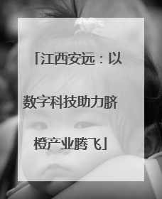 江西安远：以数字科技助力脐橙产业腾飞