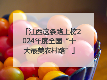 江西这条路上榜2024年度全国“十大最美农村路”