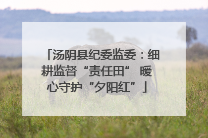 汤阴县纪委监委：细耕监督“责任田” 暖心守护“夕阳红”