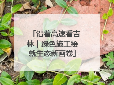 沿着高速看吉林｜绿色施工绘就生态新画卷