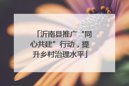 沂南县推广“同心共建”行动，提升乡村治理水平