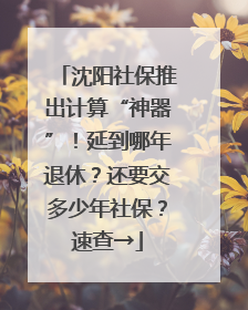 沈阳社保推出计算“神器”！延到哪年退休？还要交多少年社保？速查→
