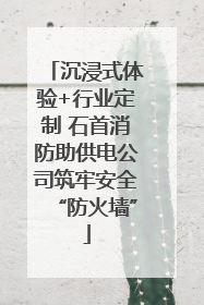 沉浸式体验+行业定制 石首消防助供电公司筑牢安全“防火墙”