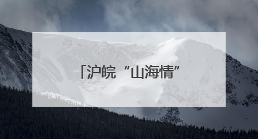 沪皖“山海情”：从“拉一把”到“一起赢”