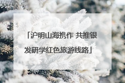 沪明山海携作 共推银发研学红色旅游线路