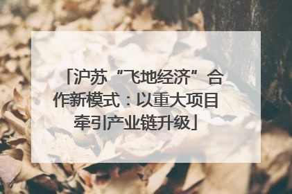 沪苏“飞地经济”合作新模式：以重大项目牵引产业链升级