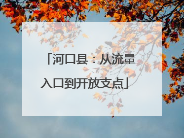 河口县：从流量入口到开放支点