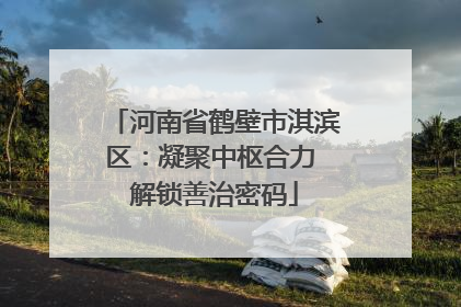 河南省鹤壁市淇滨区：凝聚中枢合力 解锁善治密码