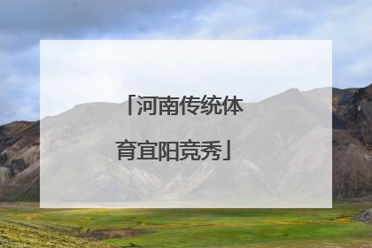 河南传统体育宜阳竞秀