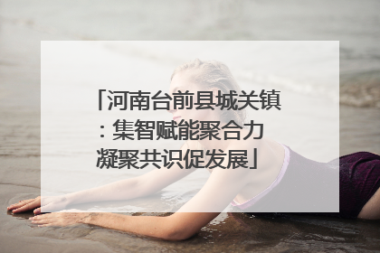 河南台前县城关镇：集智赋能聚合力 凝聚共识促发展