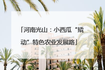 河南光山：小西瓜“撬动”特色农业发展路