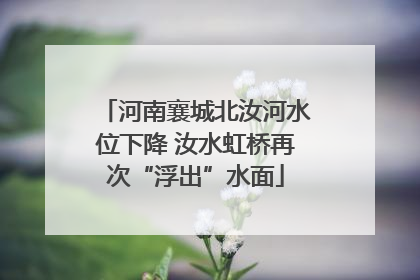 河南襄城北汝河水位下降 汝水虹桥再次“浮出”水面