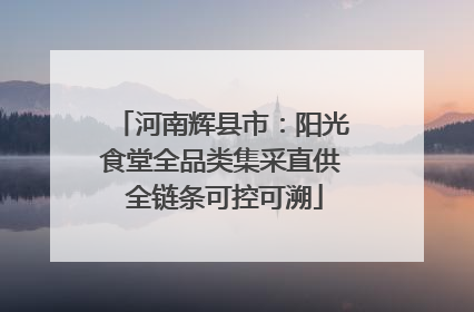 河南辉县市：阳光食堂全品类集采直供 全链条可控可溯