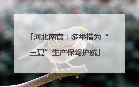河北南宫：多举措为“三夏”生产保驾护航