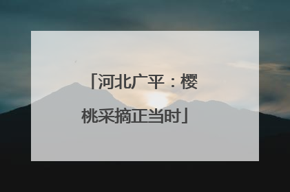 河北广平：樱桃采摘正当时