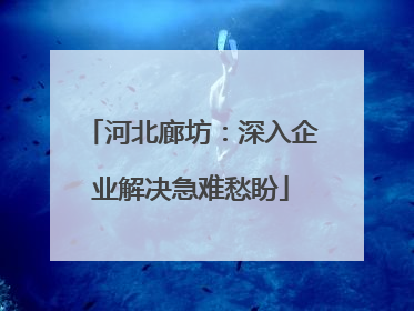 河北廊坊：深入企业解决急难愁盼