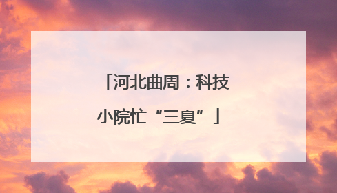 河北曲周：科技小院忙“三夏”