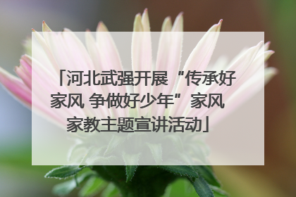 河北武强开展“传承好家风 争做好少年”家风家教主题宣讲活动