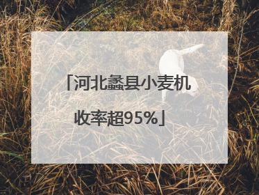 河北蠡县小麦机收率超95%