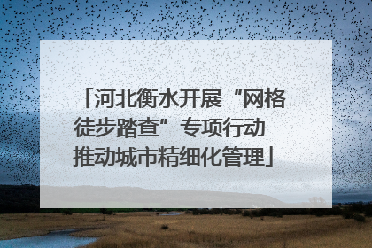 河北衡水开展“网格徒步踏查”专项行动 推动城市精细化管理