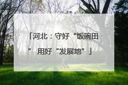 河北：守好“饭碗田” 用好“发展地”