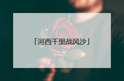河西千里战风沙
