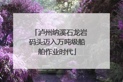 泸州纳溪石龙岩码头迈入万吨级船舶作业时代