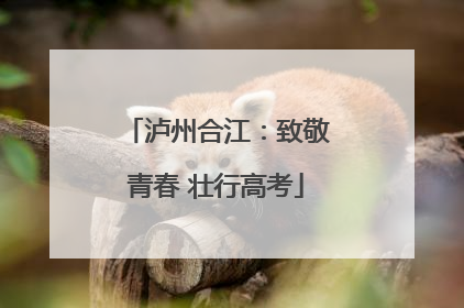 泸州合江：致敬青春 壮行高考
