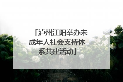 泸州江阳举办未成年人社会支持体系共建活动