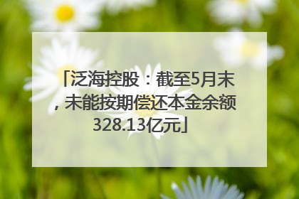 泛海控股：截至5月末，未能按期偿还本金余额328.13亿元