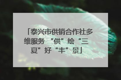 泰兴市供销合作社多维服务 “供”绘“三夏”好“丰”景