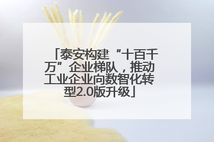 泰安构建“十百千万”企业梯队，推动工业企业向数智化转型2.0版升级