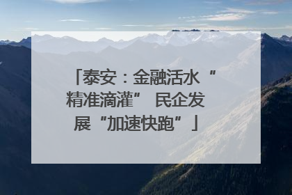 泰安：金融活水“精准滴灌” 民企发展“加速快跑”