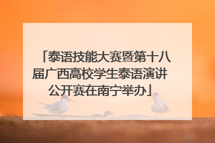 泰语技能大赛暨第十八届广西高校学生泰语演讲公开赛在南宁举办