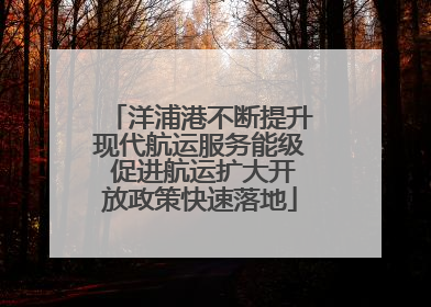 洋浦港不断提升现代航运服务能级 促进航运扩大开放政策快速落地