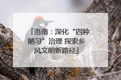 洛南：深化“四种陋习”治理 探索乡风文明新路径