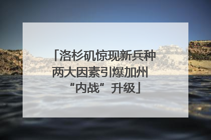 洛杉矶惊现新兵种 两大因素引爆加州“内战”升级