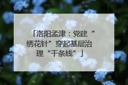 洛阳孟津：党建“绣花针”穿起基层治理“千条线”
