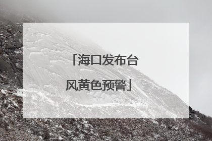 海口发布台风黄色预警