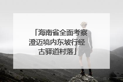 海南省全面考察澄迈境内东坡行经古驿道村落