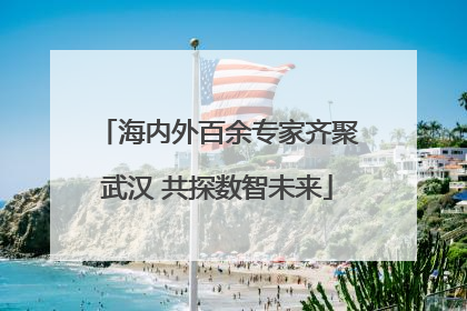 海内外百余专家齐聚武汉 共探数智未来