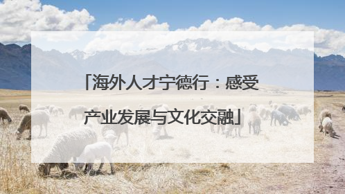 海外人才宁德行：感受产业发展与文化交融
